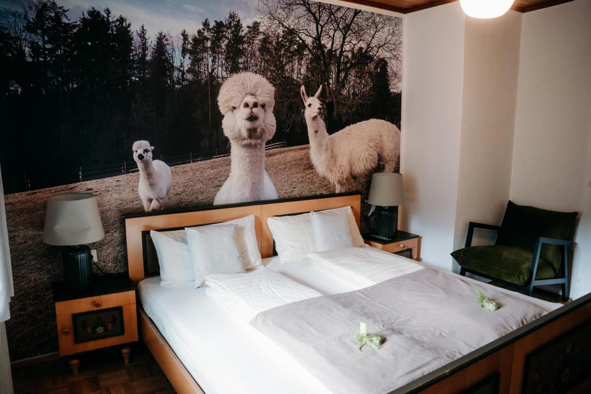 Alpakas, Lamas Und Rentiere Zum Gruenen See Grossdorf  Экстерьер фото