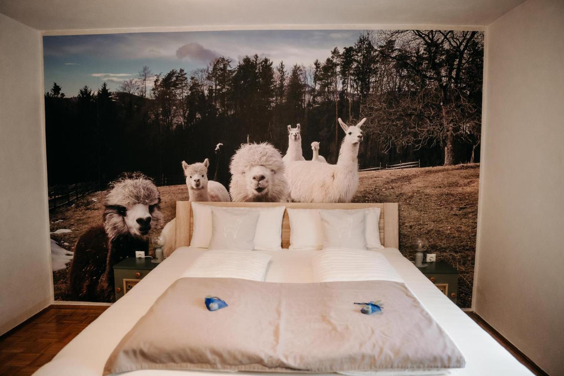 Alpakas, Lamas Und Rentiere Zum Gruenen See Grossdorf  Экстерьер фото