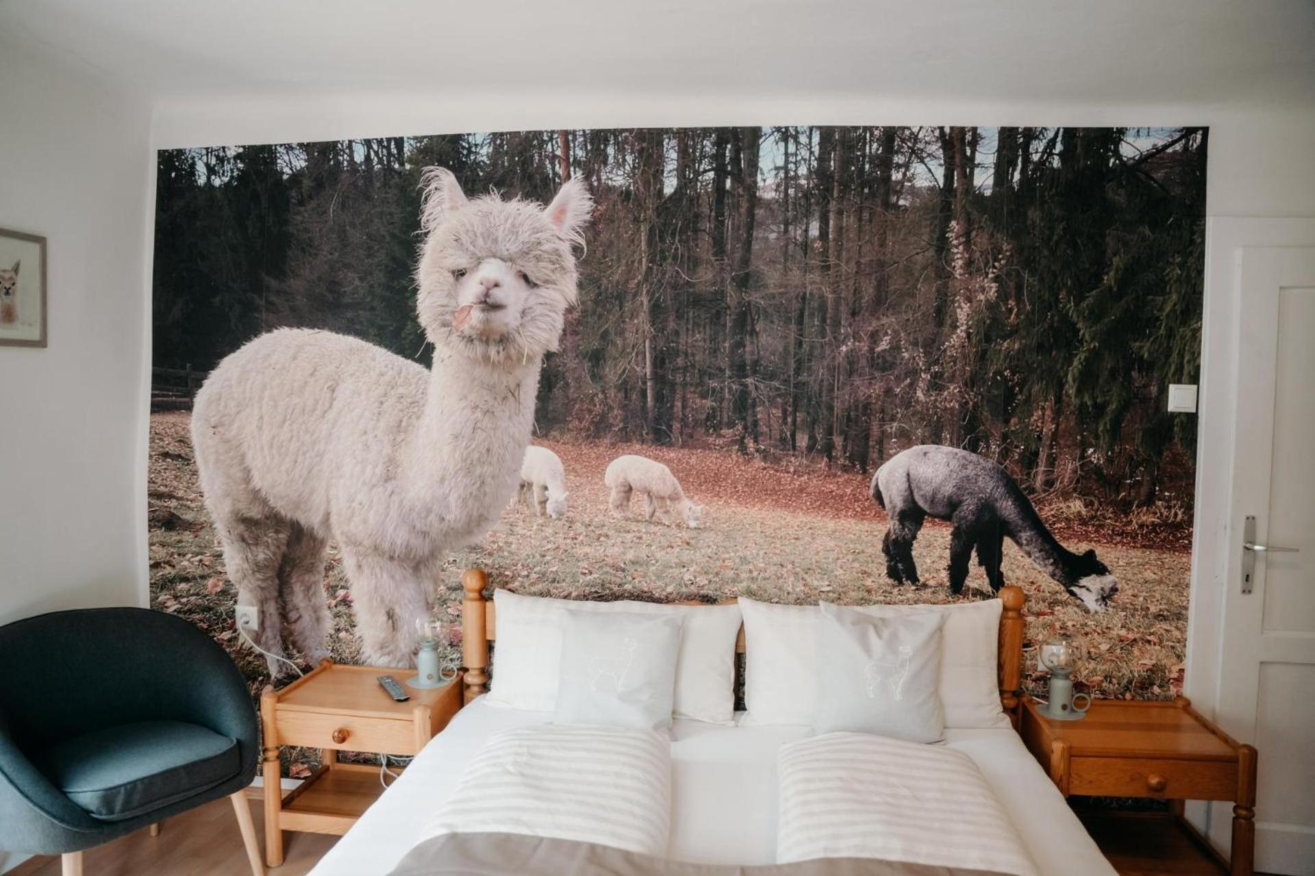 Alpakas, Lamas Und Rentiere Zum Gruenen See Grossdorf  Экстерьер фото