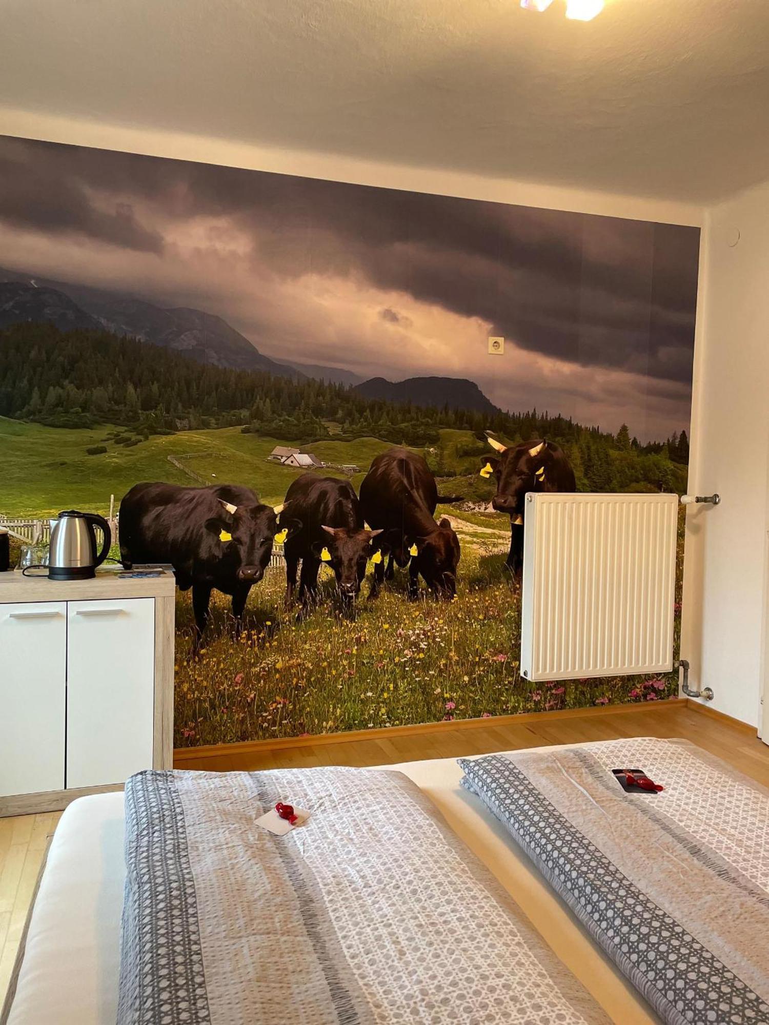 Alpakas, Lamas Und Rentiere Zum Gruenen See Grossdorf  Экстерьер фото